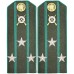 Погоны полевые ПОЛКОВНИК, Пограничных Войск НКВД, обр. 1943г.